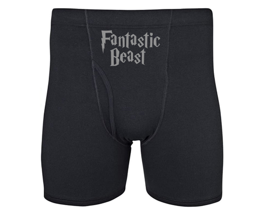 Sexy Men's Boxer Briefs With Fantastic Beast Inspired by Harry Potter