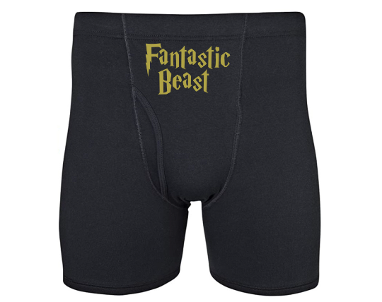 Fantastic Beast Men's Boxer Briefs